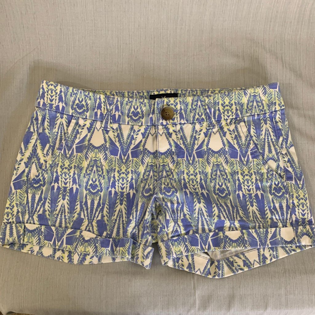 American Eagle / 2 / Print Shorts